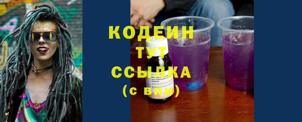 сатива Бородино
