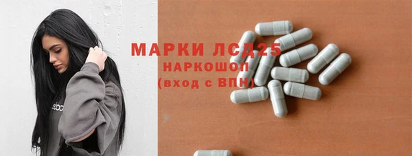 сатива Бородино
