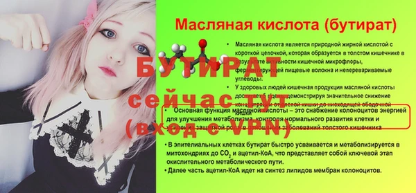 сатива Бородино