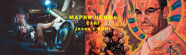 сатива Бородино