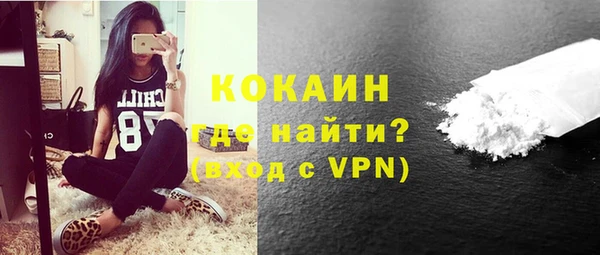 сатива Бородино