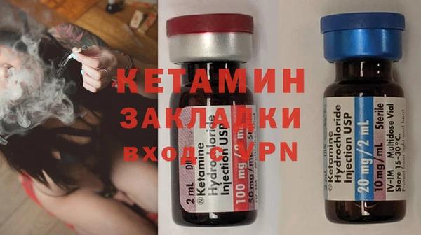 сатива Бородино