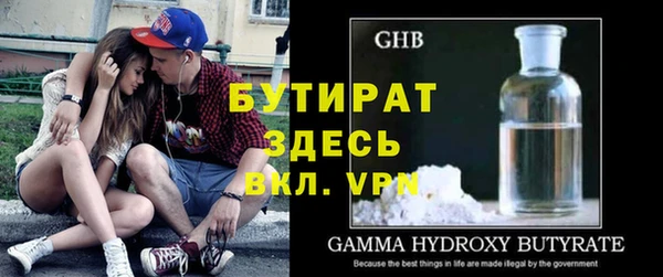 сатива Бородино